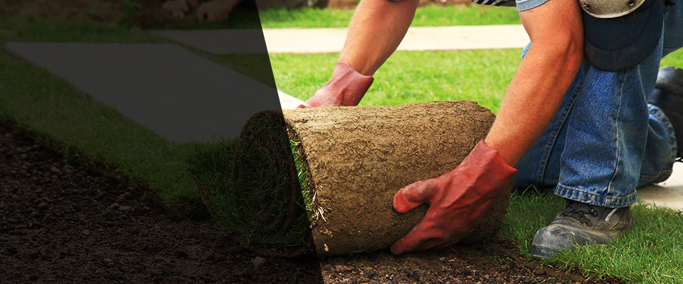 Minersville Landscapers